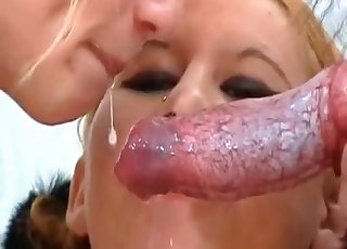 Pała